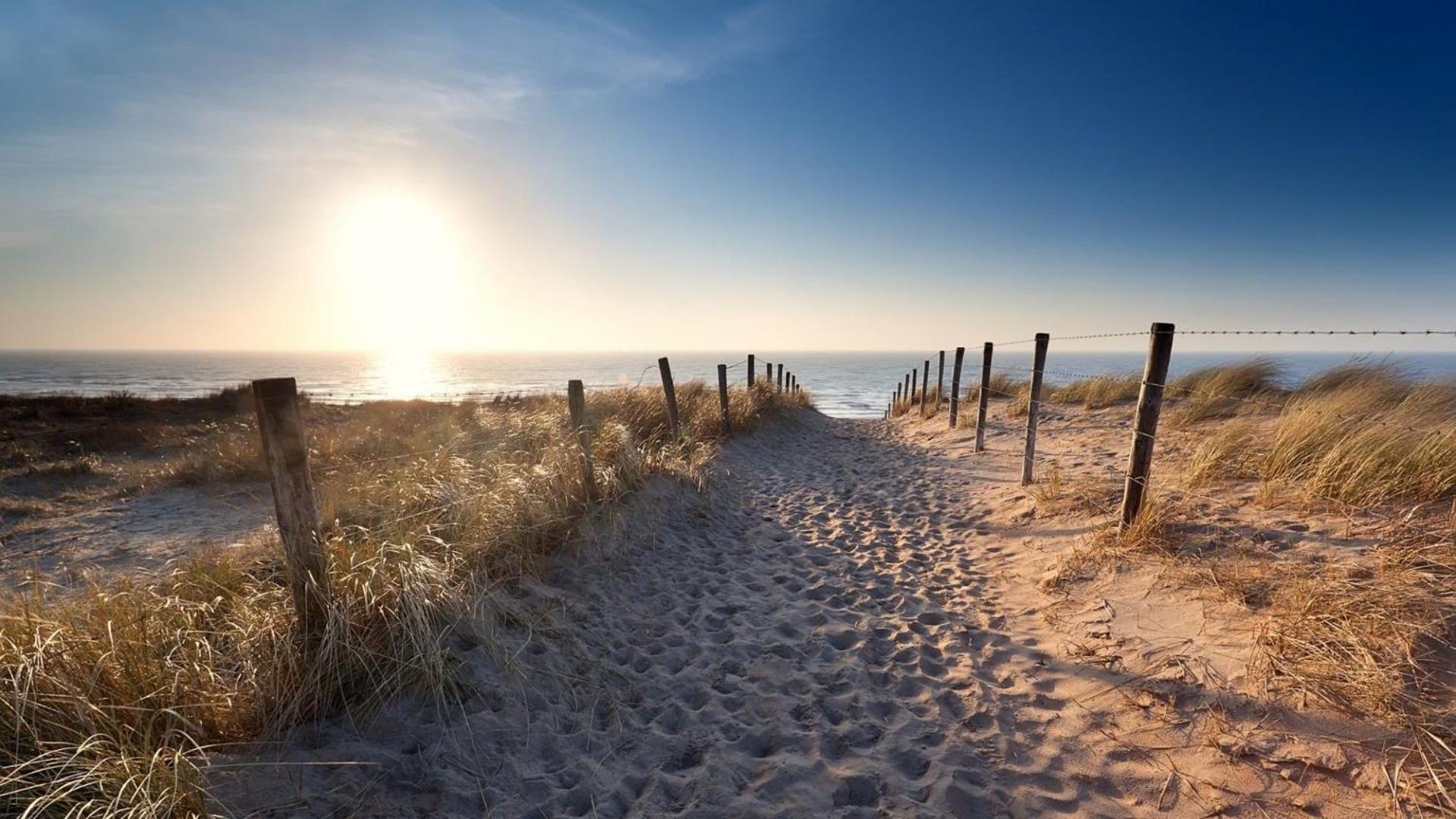 Sunny dunes Zandvoort Exterior foto